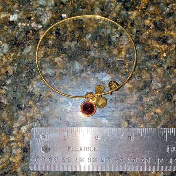 ALEX AND ANI February Birthstone Bangle Bracelet - Picture 5 of 7